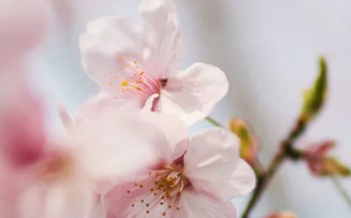 <a href=https://www.hmzw.com/html/mingzi.html target=_blank class=infotextkey>名字</a>中带茵字的含义 茵字取女<a href=https://www.hmzw.com/html/haizi.html target=_blank class=infotextkey>孩子</a><a href=https://www.hmzw.com/html/mingzi.html target=_blank class=infotextkey>名字</a>
