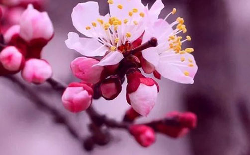 <a href=https://www.hmzw.com/html/mingzi.html target=_blank class=infotextkey>名字</a>中带茵字的含义 茵字取女<a href=https://www.hmzw.com/html/haizi.html target=_blank class=infotextkey>孩子</a><a href=https://www.hmzw.com/html/mingzi.html target=_blank class=infotextkey>名字</a>