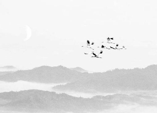 保险公司高端公司起名<a href=https://www.hmzw.com/html/tuijian.html target=_blank class=infotextkey>推荐</a> 大气的公司<a href=https://www.hmzw.com/html/mingzi.html target=_blank class=infotextkey>名字</a>