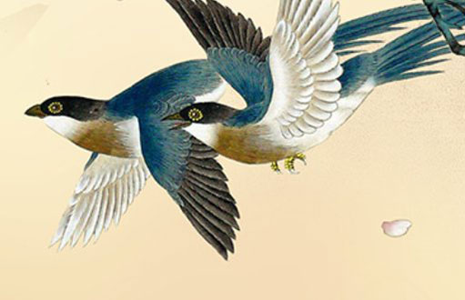 2021年常姓出生起名大全 <a href=https://www.hmzw.com/html/dute.html target=_blank class=infotextkey>独特</a><a href=https://www.hmzw.com/html/xishao.html target=_blank class=infotextkey>稀少</a><a href=https://www.hmzw.com/html/baobao.html target=_blank class=infotextkey>宝宝</a><a href=https://www.hmzw.com/html/mingzi.html target=_blank class=infotextkey>名字</a>