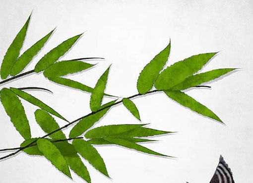 设计公司起名精选 有特点的公司<a href=https://www.hmzw.com/html/mingzi.html target=_blank class=infotextkey>名字</a>