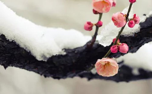 带囡字的女孩<a href=https://www.hmzw.com/html/mingzi.html target=_blank class=infotextkey>名字</a><a href=https://www.hmzw.com/html/yuyi.html target=_blank class=infotextkey>寓意</a> 囡字取名