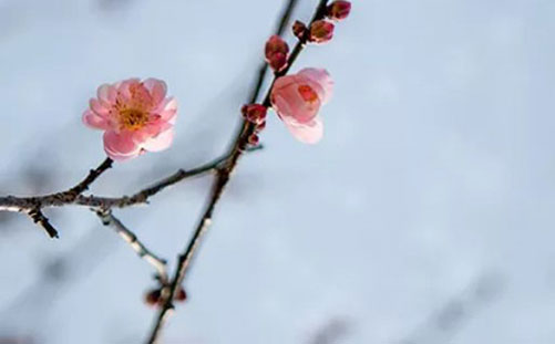 <a href=https://www.hmzw.com/html/mingzi.html target=_blank class=infotextkey>名字</a>中带彤字的含义 彤字取女<a href=https://www.hmzw.com/html/haizi.html target=_blank class=infotextkey>孩子</a><a href=https://www.hmzw.com/html/mingzi.html target=_blank class=infotextkey>名字</a>