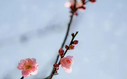 <a href=https://www.hmzw.com/html/mingzi.html target=_blank class=infotextkey>名字</a>中带彤字的含义 彤字取女<a href=https://www.hmzw.com/html/haizi.html target=_blank class=infotextkey>孩子</a><a href=https://www.hmzw.com/html/mingzi.html target=_blank class=infotextkey>名字</a>