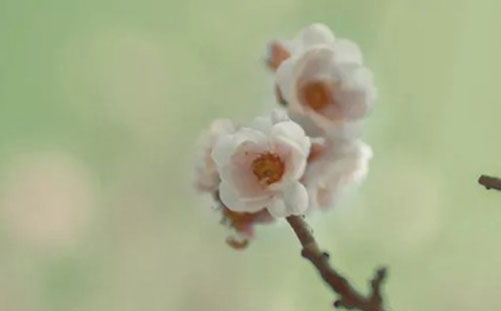 女孩如何起带彤字的<a href=https://www.hmzw.com/html/mingzi.html target=_blank class=infotextkey>名字</a> 和什么字<a href=https://www.hmzw.com/html/dapei.html target=_blank class=infotextkey>搭配</a>好听