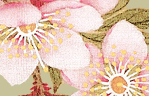 牛年赵姓女孩起名大全 <a href=https://www.hmzw.com/html/chongman.html target=_blank class=infotextkey>充满</a>诗情画意<a href=https://www.hmzw.com/html/mingzi.html target=_blank class=infotextkey>名字</a>