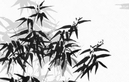 新手开网店<a href=https://www.hmzw.com/html/mingzi.html target=_blank class=infotextkey>名字</a>六个字 有<a href=https://www.hmzw.com/html/yuyi.html target=_blank class=infotextkey>寓意</a>的店铺<a href=https://www.hmzw.com/html/mingzi.html target=_blank class=infotextkey>名字</a>