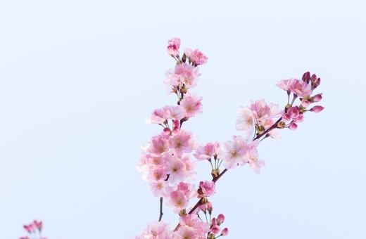 牛年出生的<a href=https://m.hmzw.com/html/baobao.html target=_blank class=infotextkey>宝宝</a>起名宜用字,好听不重名<a href=https://m.hmzw.com/html/tuijian.html target=_blank class=infotextkey>推荐</a>