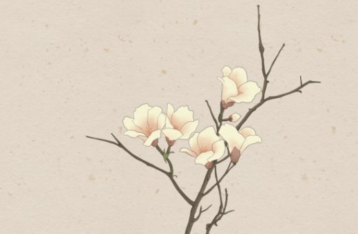 带幻字的女孩<a href=https://www.hmzw.com/html/mingzi.html target=_blank class=infotextkey>名字</a><a href=https://www.hmzw.com/html/yuyi.html target=_blank class=infotextkey>寓意</a> 幻字取名