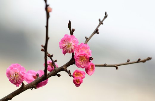 为牛年出生<a href=https://www.hmzw.com/html/xinsheng.html target=_blank class=infotextkey>新生</a>儿起<a href=https://www.hmzw.com/html/mingzi.html target=_blank class=infotextkey>名字</a>大全,2021年最新<a href=https://www.hmzw.com/html/baobao.html target=_blank class=infotextkey>宝宝</a><a href=https://www.hmzw.com/html/mingzi.html target=_blank class=infotextkey>名字</a>