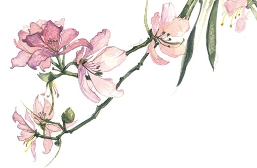 好听有<a href=https://www.hmzw.com/html/yuyi.html target=_blank class=infotextkey>寓意</a>的公司<a href=https://www.hmzw.com/html/mingzi.html target=_blank class=infotextkey>名字</a>大全,公司宜用字<a href=https://www.hmzw.com/html/tuijian.html target=_blank class=infotextkey>推荐</a>