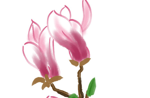 新注册的公司如何取名,公司名称大全