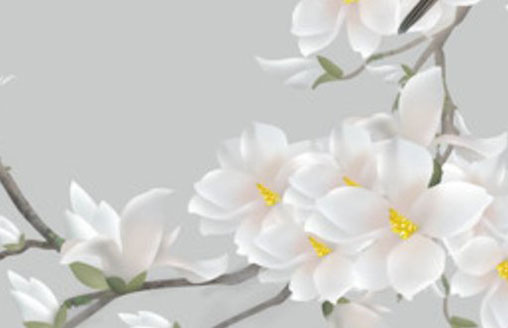 偏旁是廴的字公司起名<a href=https://www.hmzw.com/html/tuijian.html target=_blank class=infotextkey>推荐</a> 有什么好听的名称