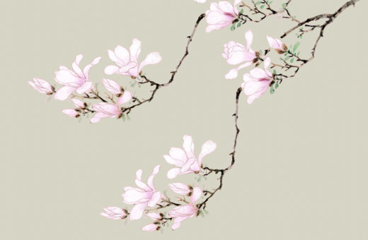 女孩怎么起带絮字的<a href=https://www.hmzw.com/html/mingzi.html target=_blank class=infotextkey>名字</a> 和絮字如何<a href=https://www.hmzw.com/html/dapei.html target=_blank class=infotextkey>搭配</a>好听