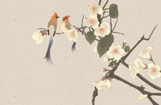 企业管理公司<a href=https://www.hmzw.com/html/mingzi.html target=_blank class=infotextkey>名字</a>大全,咨询公司如何取名