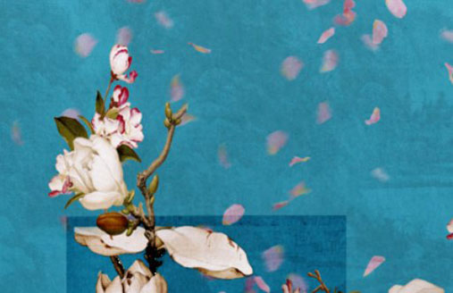 农历三月牛为什么不好 农历三月牛为什么不好说法