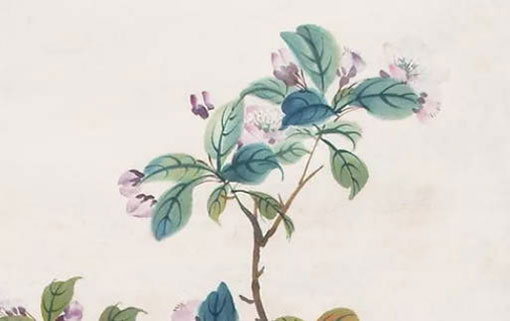 比较特殊的两个字的公司<a href=https://www.hmzw.com/html/mingzi.html target=_blank class=infotextkey>名字</a> 独一无二的公司名