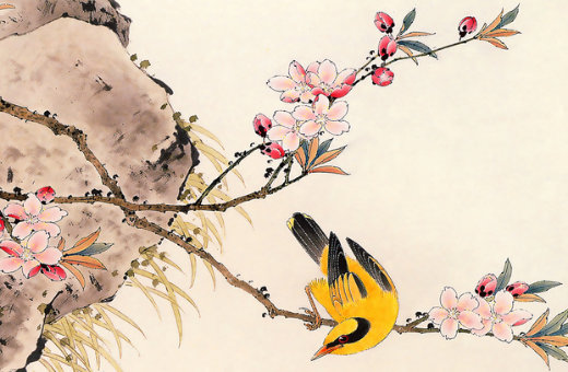 属牛女孩九月取名技巧,女宝宝名字大全