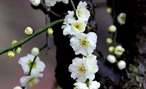 比较新潮的公司<a href=https://www.hmzw.com/html/mingzi.html target=_blank class=infotextkey>名字</a> <a href=https://www.hmzw.com/html/xinying.html target=_blank class=infotextkey>新颖</a>有创意公司<a href=https://www.hmzw.com/html/mingzi.html target=_blank class=infotextkey>名字</a>
