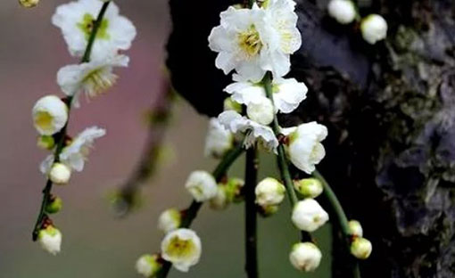 比较新潮的公司<a href=https://www.hmzw.com/html/mingzi.html target=_blank class=infotextkey>名字</a> <a href=https://www.hmzw.com/html/xinying.html target=_blank class=infotextkey>新颖</a>有创意公司<a href=https://www.hmzw.com/html/mingzi.html target=_blank class=infotextkey>名字</a>