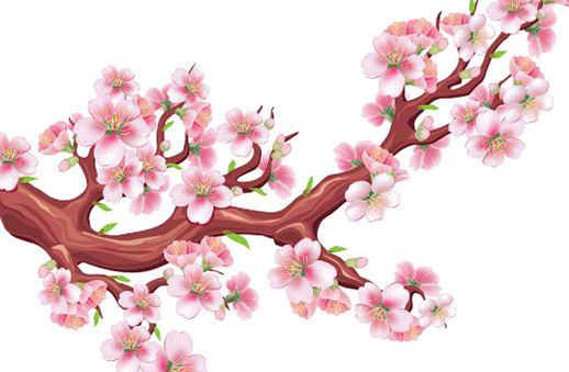 公司起名大全2021最新版 最吉祥的公司<a href=https://m.hmzw.com/html/mingzi.html target=_blank class=infotextkey>名字</a>