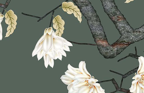 高端大气的吊装公司<a href=https://www.hmzw.com/html/mingzi.html target=_blank class=infotextkey>名字</a> 吊装公司起名案例