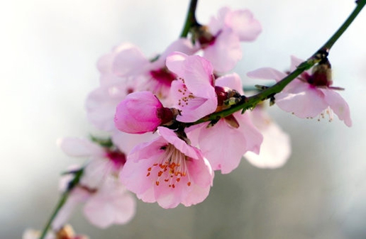 医疗科技公司起名大全,公司起名热门字