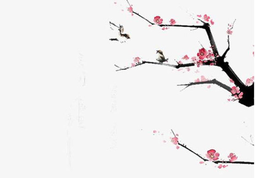 2020年11月6号九月二十一出生的女孩是什么命,起什么<a href=https://m.hmzw.com/html/mingzi.html target=_blank class=infotextkey>名字</a>高分