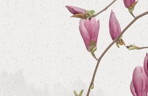 2021年7月7日出生的女孩起什么名字 独一无二好听