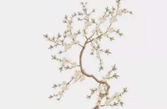 2020年4月24号出生的男孩怎么<a href=https://m.hmzw.com/html/bazi.html target=_blank class=infotextkey>八字</a>起<a href=https://m.hmzw.com/html/mingzi.html target=_blank class=infotextkey>名字</a>，用什么字好