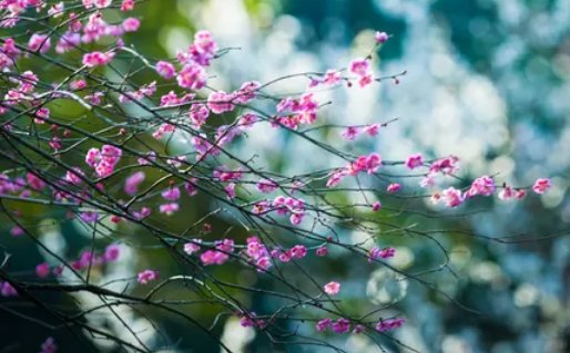 2020年6月28号五月初八出生的女孩是什么命,取什么<a href=https://www.hmzw.com/html/mingzi.html target=_blank class=infotextkey>名字</a>有涵义