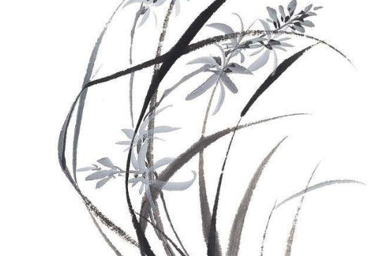 2020年3月2号出生的男孩起什么<a href=https://m.hmzw.com/html/mingzi.html target=_blank class=infotextkey>名字</a>好，<a href=https://m.hmzw.com/html/wuxing.html target=_blank class=infotextkey>五行</a>属什么