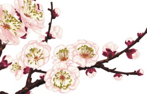 2020年11月出生的男孩100分<a href=https://m.hmzw.com/html/mingzi.html target=_blank class=infotextkey>名字</a>精选