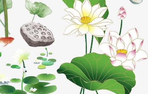 2021年1月10日出生的<a href=https://m.hmzw.com/html/baobao.html target=_blank class=infotextkey>宝宝</a>是什么命,十一月二十七的<a href=https://m.hmzw.com/html/haizi.html target=_blank class=infotextkey>孩子</a>怎么起<a href=https://m.hmzw.com/html/mingzi.html target=_blank class=infotextkey>名字</a>