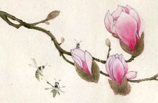 中间带环的女孩<a href=https://www.hmzw.com/html/mingzi.html target=_blank class=infotextkey>名字</a> 环字女孩起名大全