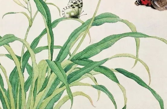 2020年女孩取<a href=https://m.hmzw.com/html/mingzi.html target=_blank class=infotextkey>名字</a><a href=https://m.hmzw.com/html/yuyi.html target=_blank class=infotextkey>寓意</a>好的字，<a href=https://m.hmzw.com/html/tuijian.html target=_blank class=infotextkey>推荐</a>含有“夕”偏旁的字