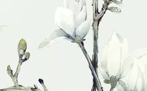 2020年6月25号五月初五生的男孩命运好吗，如何取<a href=https://www.hmzw.com/html/mingzi.html target=_blank class=infotextkey>名字</a>运势佳