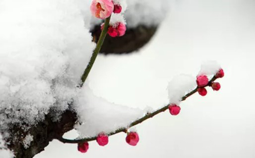 2021年3月5日农历正月二十二出生的男孩起好听儒雅的<a href=https://m.hmzw.com/html/mingzi.html target=_blank class=infotextkey>名字</a>