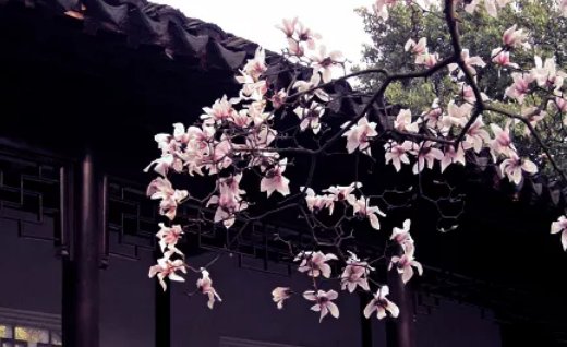 2020年6月8号闰四月十七出生的女孩命好吗,取什么<a href=https://m.hmzw.com/html/mingzi.html target=_blank class=infotextkey>名字</a>吉祥