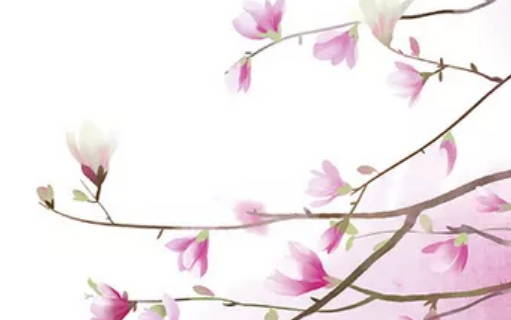 2020年5月17号四月二十五生的女孩是什么命，起什么<a href=https://m.hmzw.com/html/mingzi.html target=_blank class=infotextkey>名字</a>吉祥