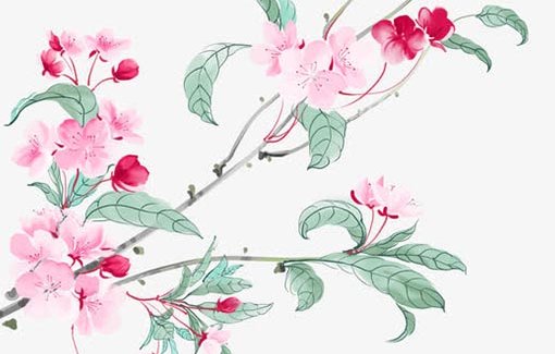 2021年2月3日农历腊月二十二出生的女孩起好听脱俗的<a href=https://m.hmzw.com/html/mingzi.html target=_blank class=infotextkey>名字</a>
