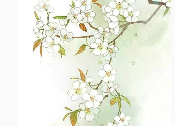 鼠年男孩名字首选，名字选用宜有"米"，"梁"，"豆"，"麦