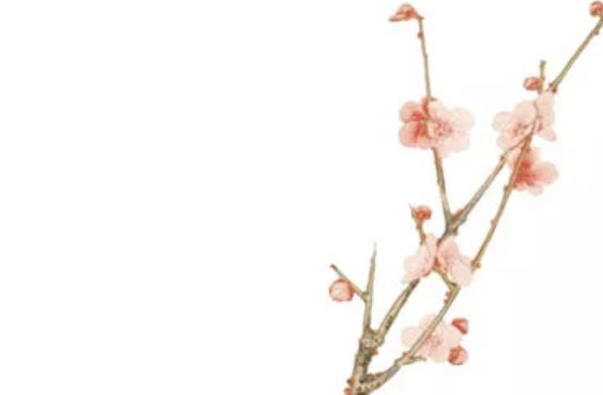 2020年4月29号出生的女孩怎么起<a href=https://m.hmzw.com/html/mingzi.html target=_blank class=infotextkey>名字</a>，<a href=https://m.hmzw.com/html/wuxing.html target=_blank class=infotextkey>五行</a>属什么