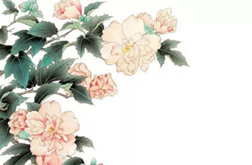 带荷字的女孩<a href=https://www.hmzw.com/html/mingzi.html target=_blank class=infotextkey>名字</a>唯美 荷字取名女孩