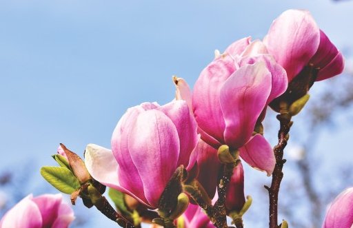 2021年3月24日农历二月十二出生的男孩周易<a href=https://m.hmzw.com/html/shengchen.html target=_blank class=infotextkey>生辰</a>起<a href=https://m.hmzw.com/html/mingzi.html target=_blank class=infotextkey>名字</a>