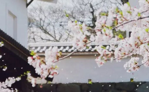 中间带芝的女孩<a href=https://www.hmzw.com/html/mingzi.html target=_blank class=infotextkey>名字</a> 芝字女孩起名大全