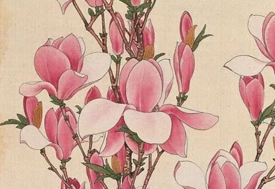 2020年6月1号出生的男孩怎么起<a href=https://m.hmzw.com/html/mingzi.html target=_blank class=infotextkey>名字</a>好，<a href=https://m.hmzw.com/html/wuxing.html target=_blank class=infotextkey>五行</a>属什么