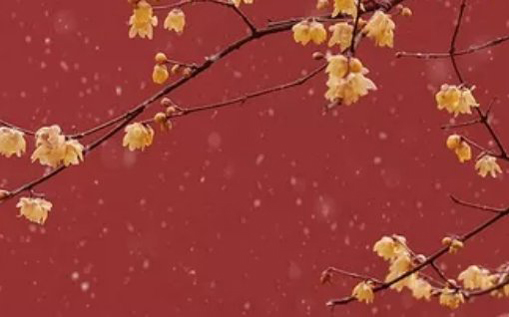 2021年2月22日农历正月十一出生的女孩起<a href=https://m.hmzw.com/html/shiyi.html target=_blank class=infotextkey>诗意</a><a href=https://m.hmzw.com/html/dute.html target=_blank class=infotextkey>独特</a>的<a href=https://m.hmzw.com/html/mingzi.html target=_blank class=infotextkey>名字</a>