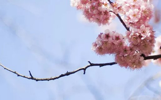 2020年12月24号十一月初十出生的男孩是什么命,五行八字起名