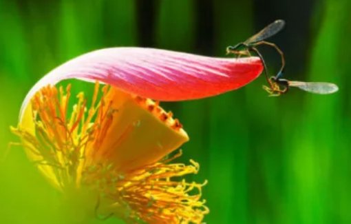 2020年8月男孩取什么<a href=https://www.hmzw.com/html/mingzi.html target=_blank class=infotextkey>名字</a>好,<a href=https://www.hmzw.com/html/yuyi.html target=_blank class=infotextkey>寓意</a>聪明好名介绍